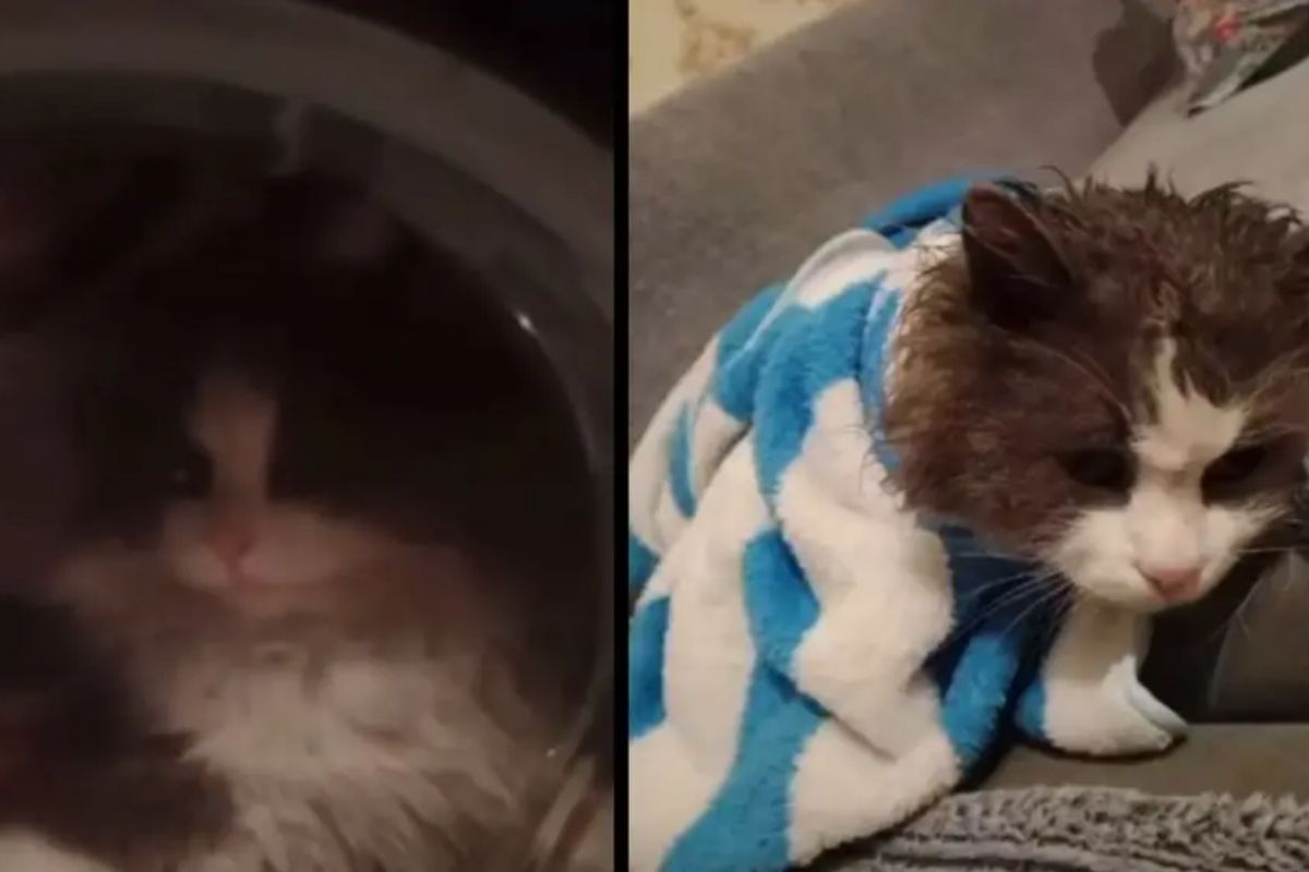 Кадры из видео: Threads/@juldyzmurzabaeva