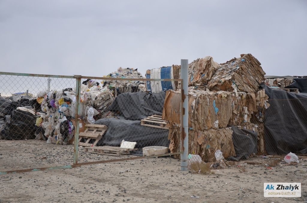 иллюстративное фото