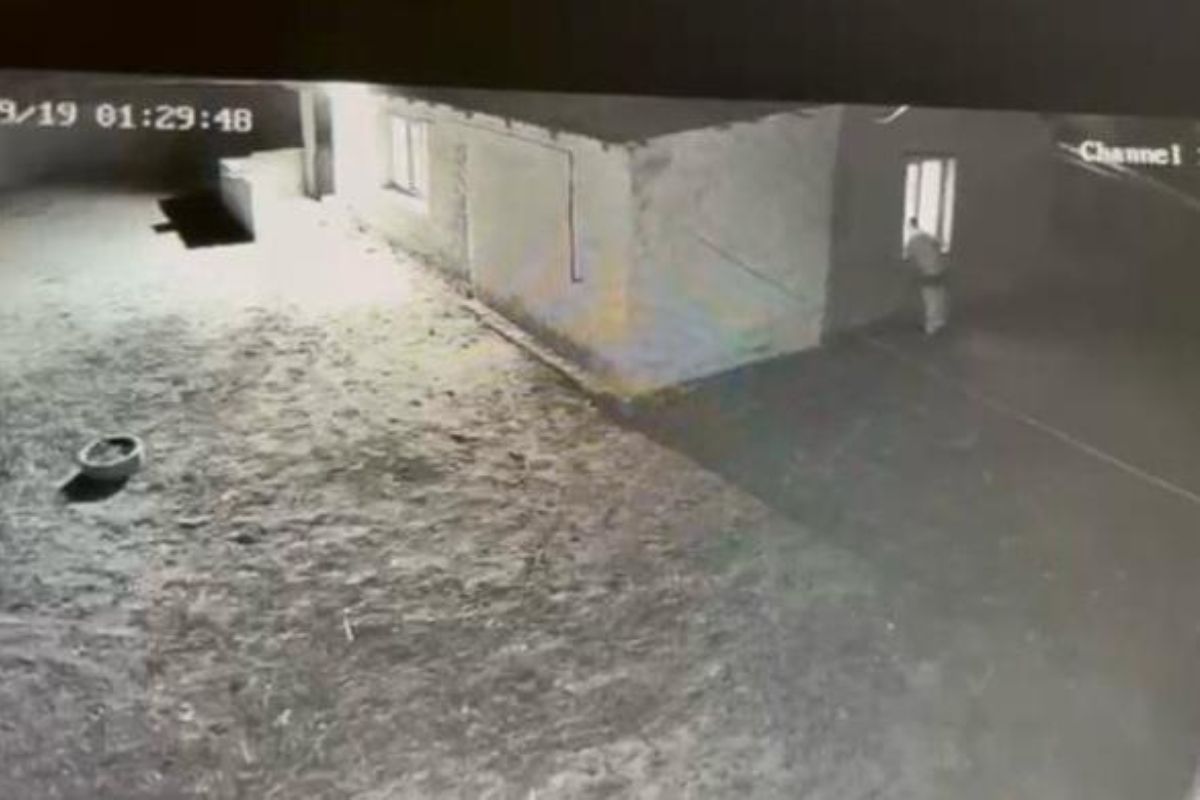 скриншот видео