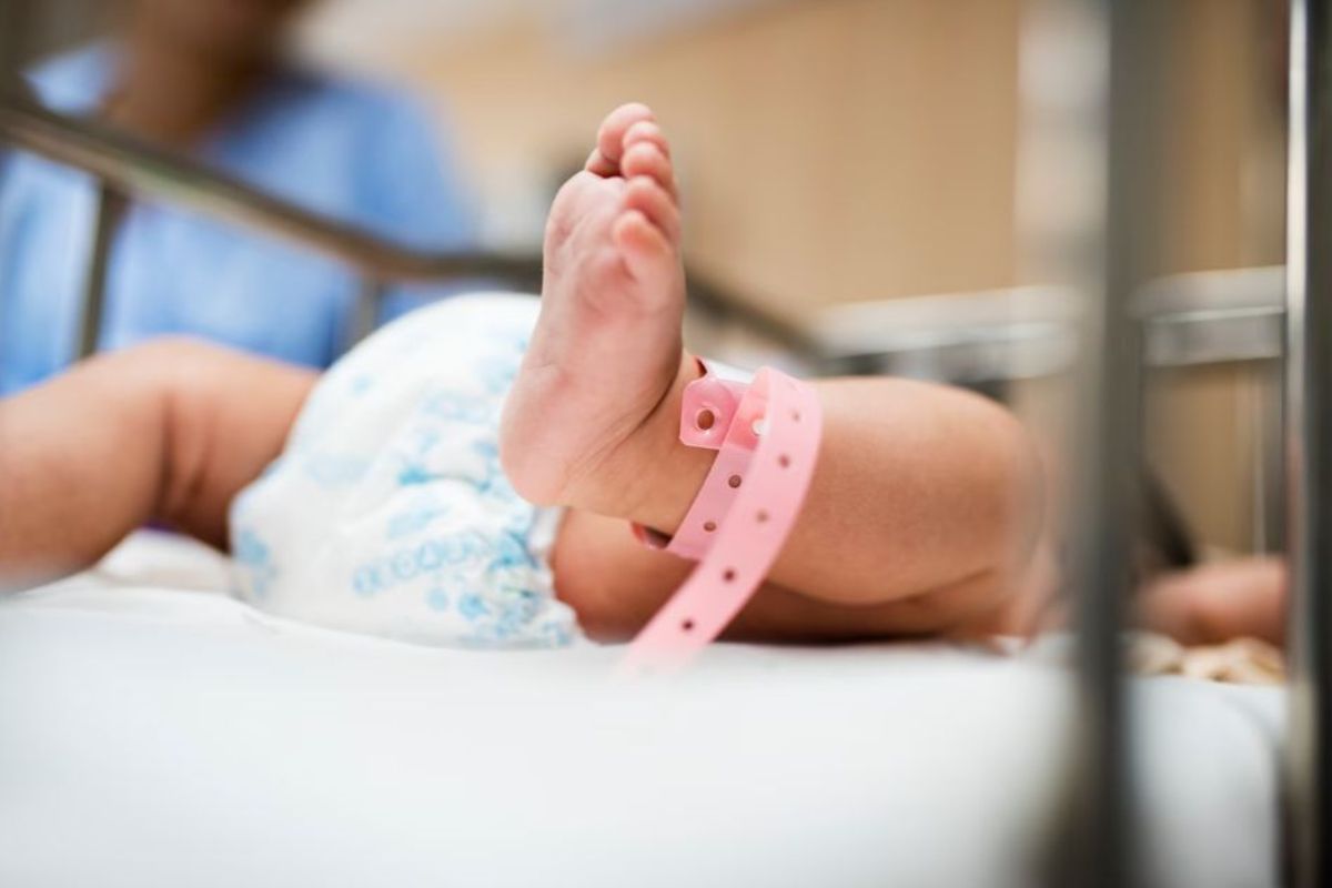 фото freepik.com