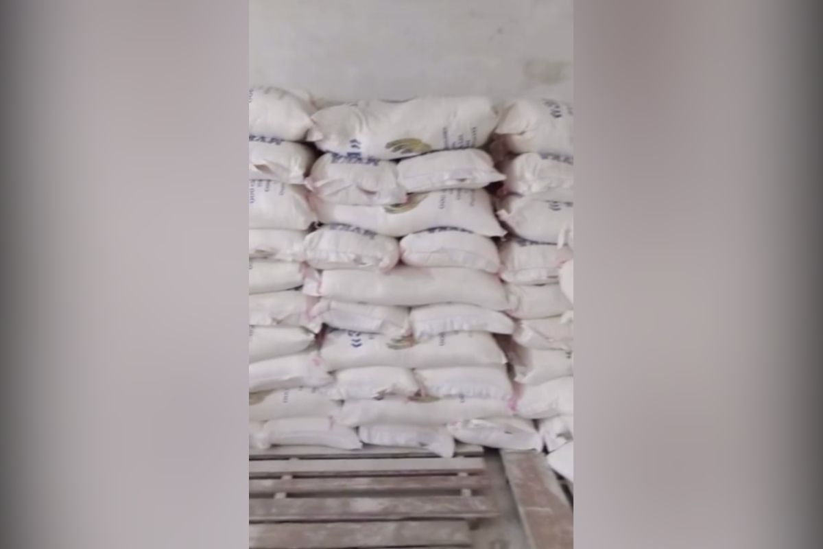 скриншот видео скриншот видео