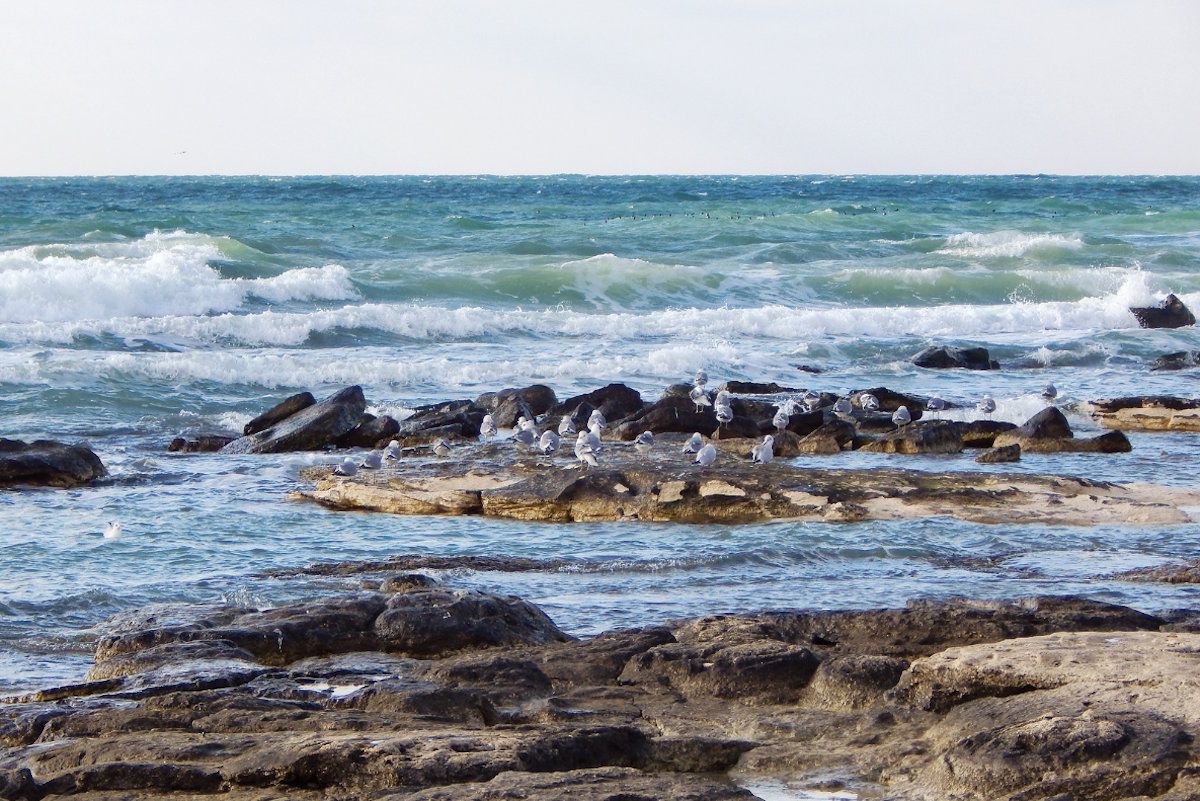 Каспийское море, фото Canva