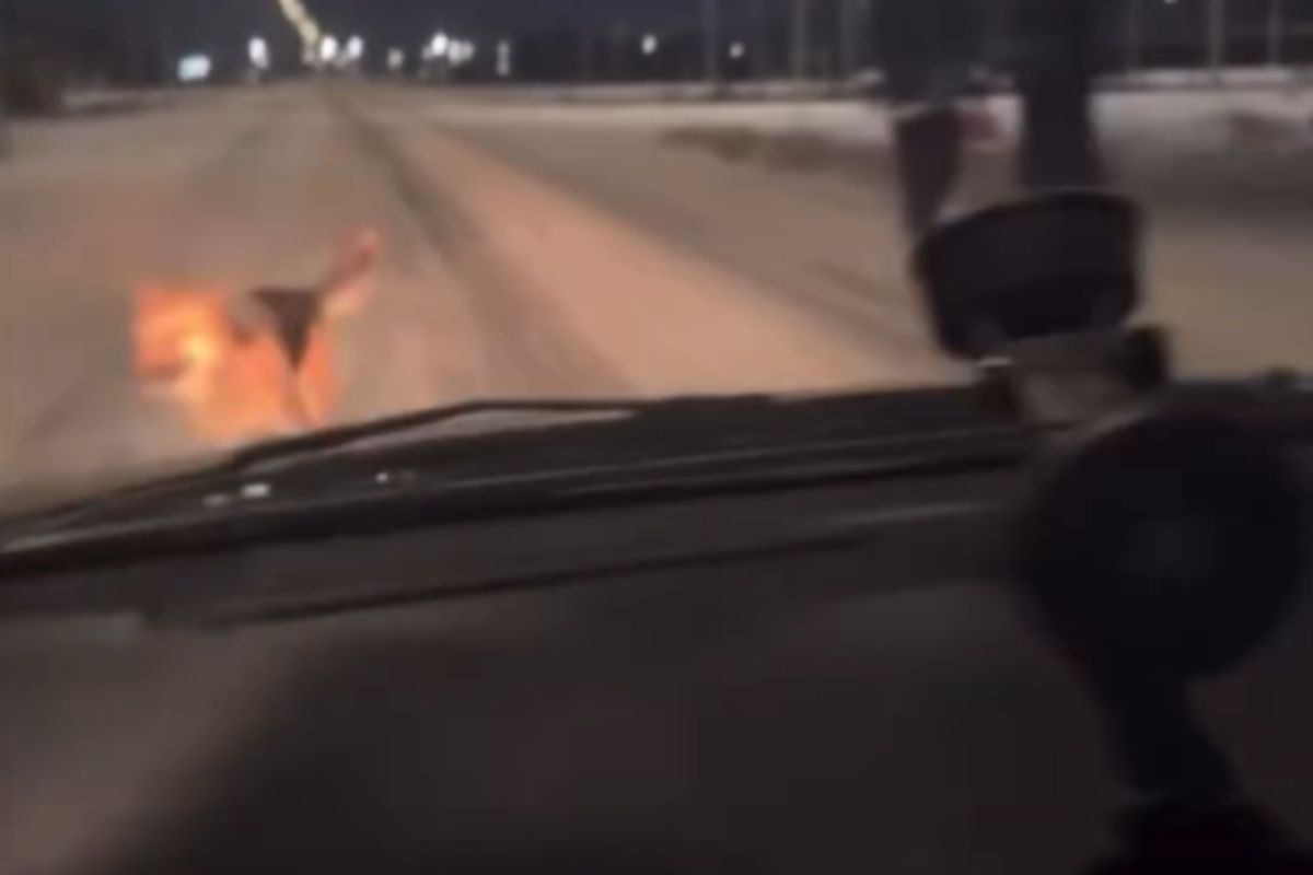 стоп-кадр с видео