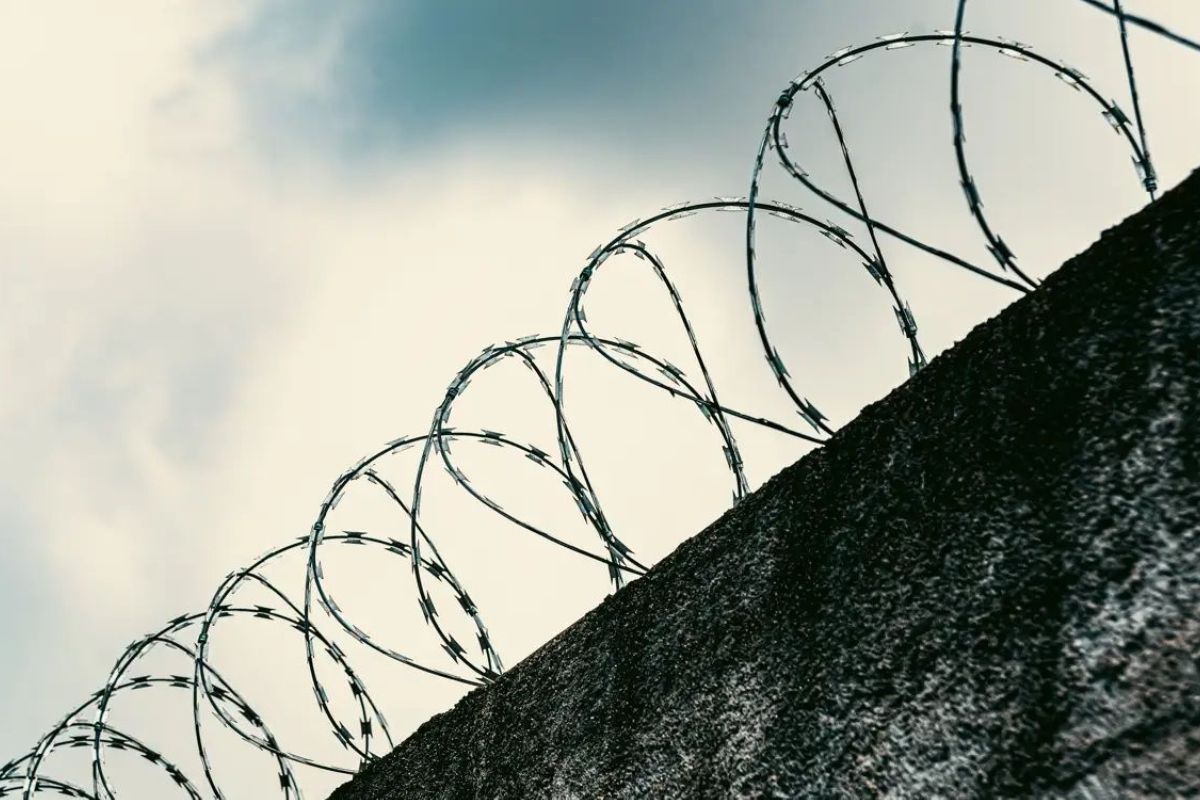 фото из открытых источников.