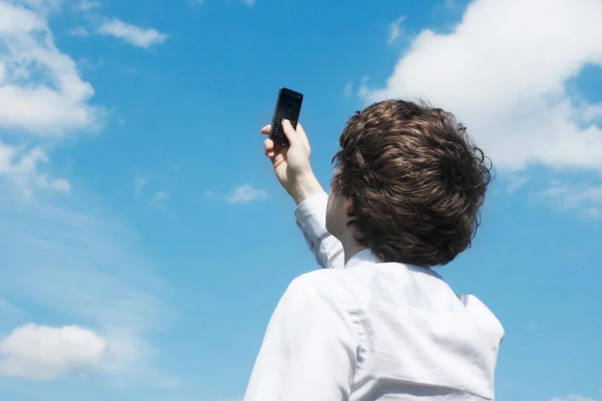 фото из открытых источников