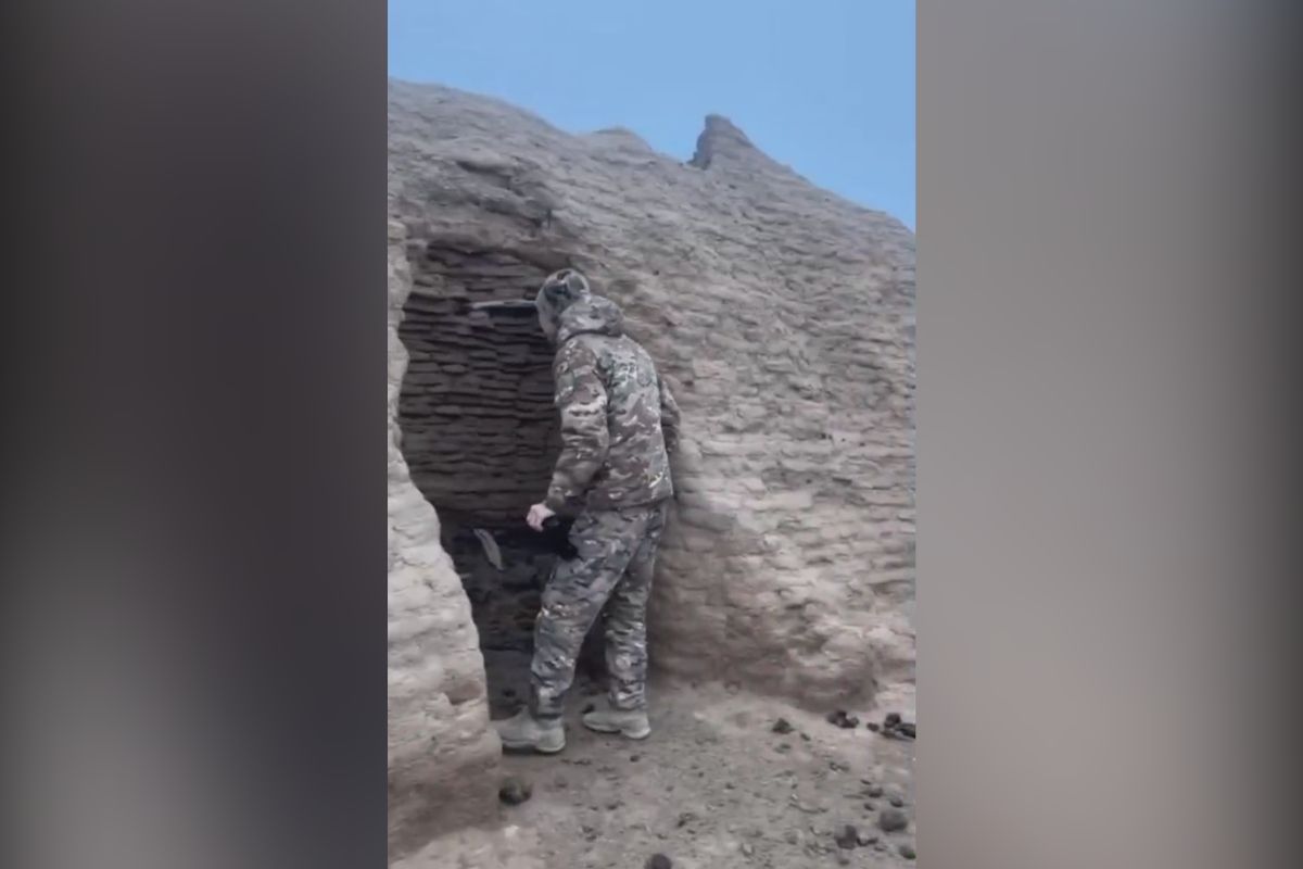 скриншот видео скриншот видео