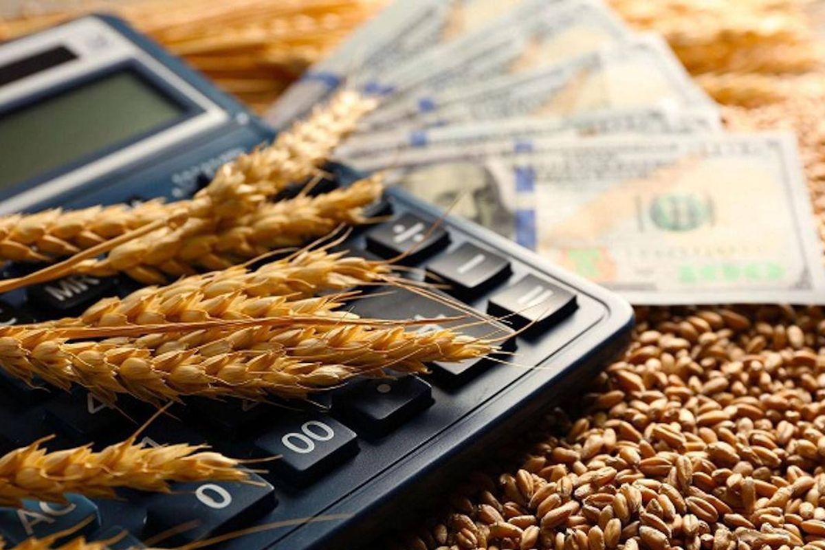 фото из открытых источников фото из открытых источников