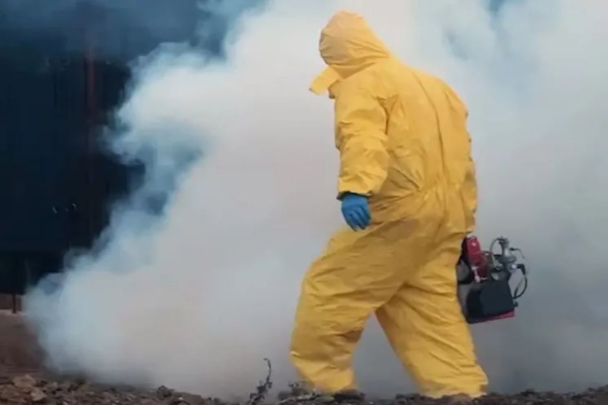 иллюстративное фото