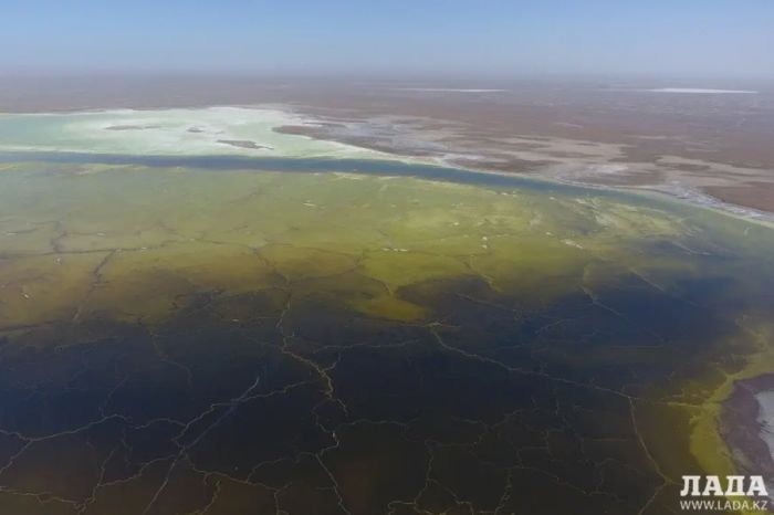 Акимат Мангистауской области судится с АО «Павлодарский речной порт» из-за рекультивации озера Кошкар-ата