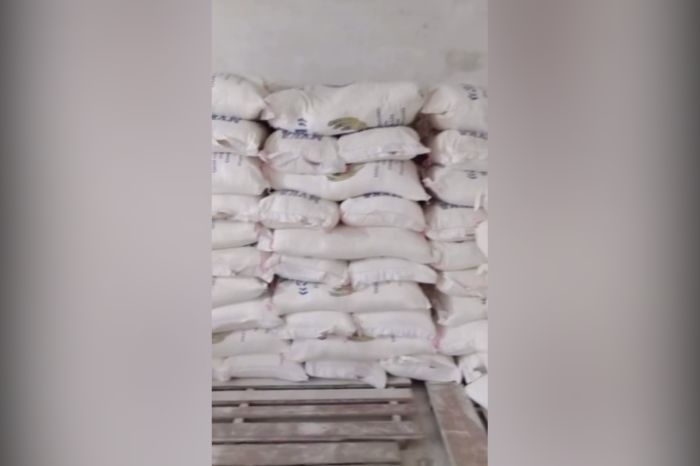 Фитосанитарный досмотр муки из России: что выявили специалисты в Курмангазинском районе