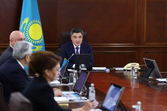 В Казахстане пересмотрят поддержку частных школ и медорганизаций из-за мошенничества