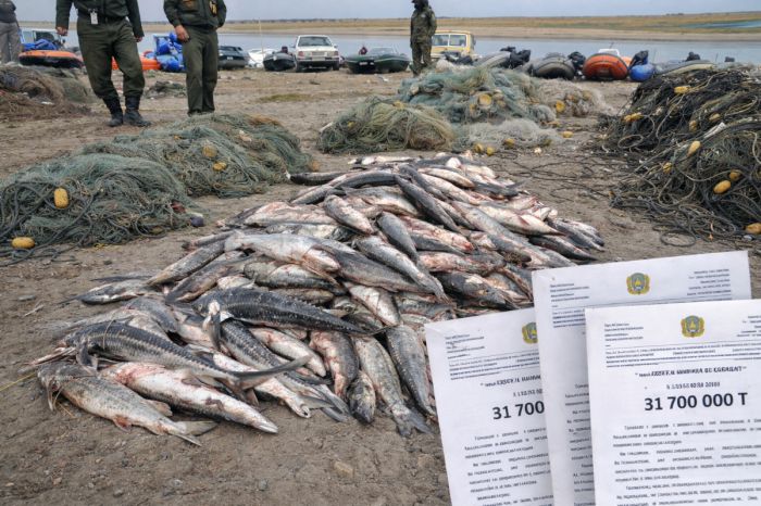 В Атырау браконьерам выписали штрафы на сумму свыше тридцати миллионов тенге