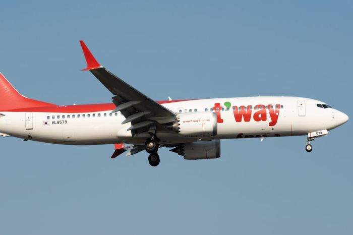 Пожар из-за пауэрбанка в самолете: восемь человек пострадали