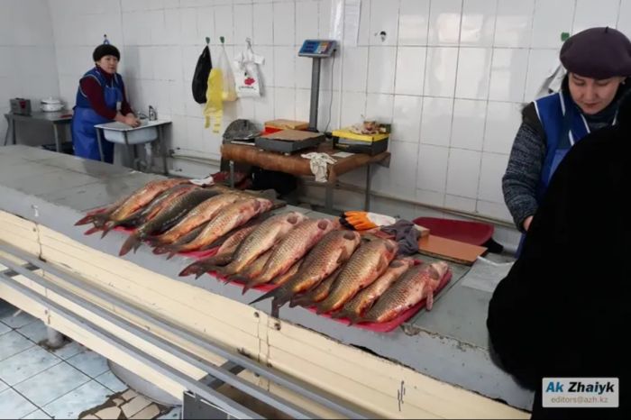 Сазан подорожал на четверть: что происходит с ценами на рыбу