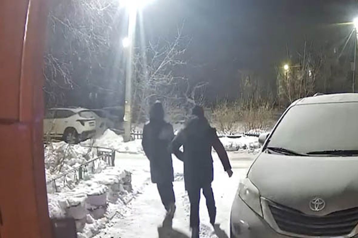 скриншот видео скриншот видео