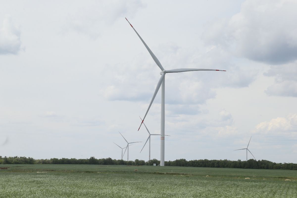 иллюстративное фото