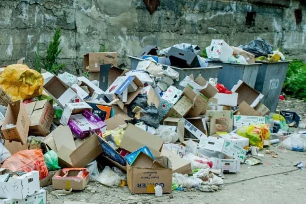 фото сгенерировано ChatGPT