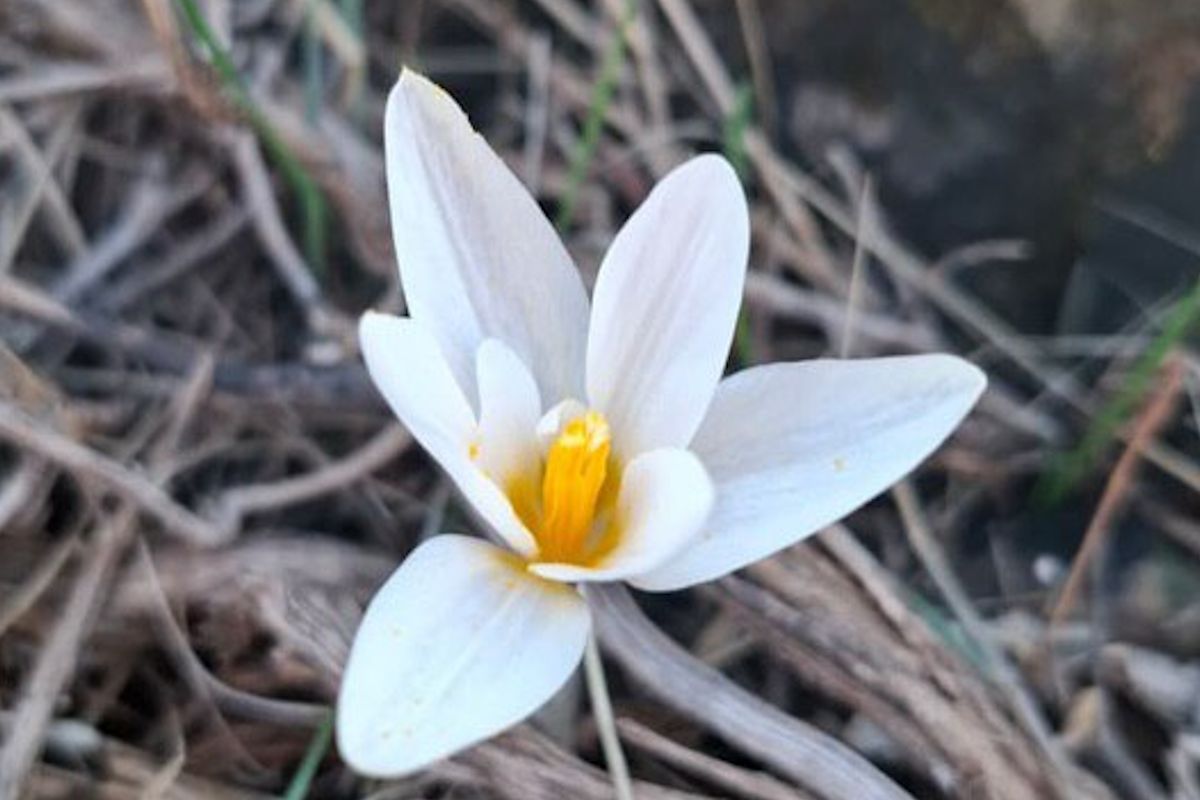 фото instagram @karatau_nature_reserve