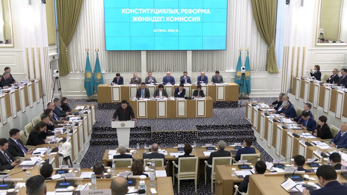 десятое заседание Конституционной комиссии, стоп-кадр видео