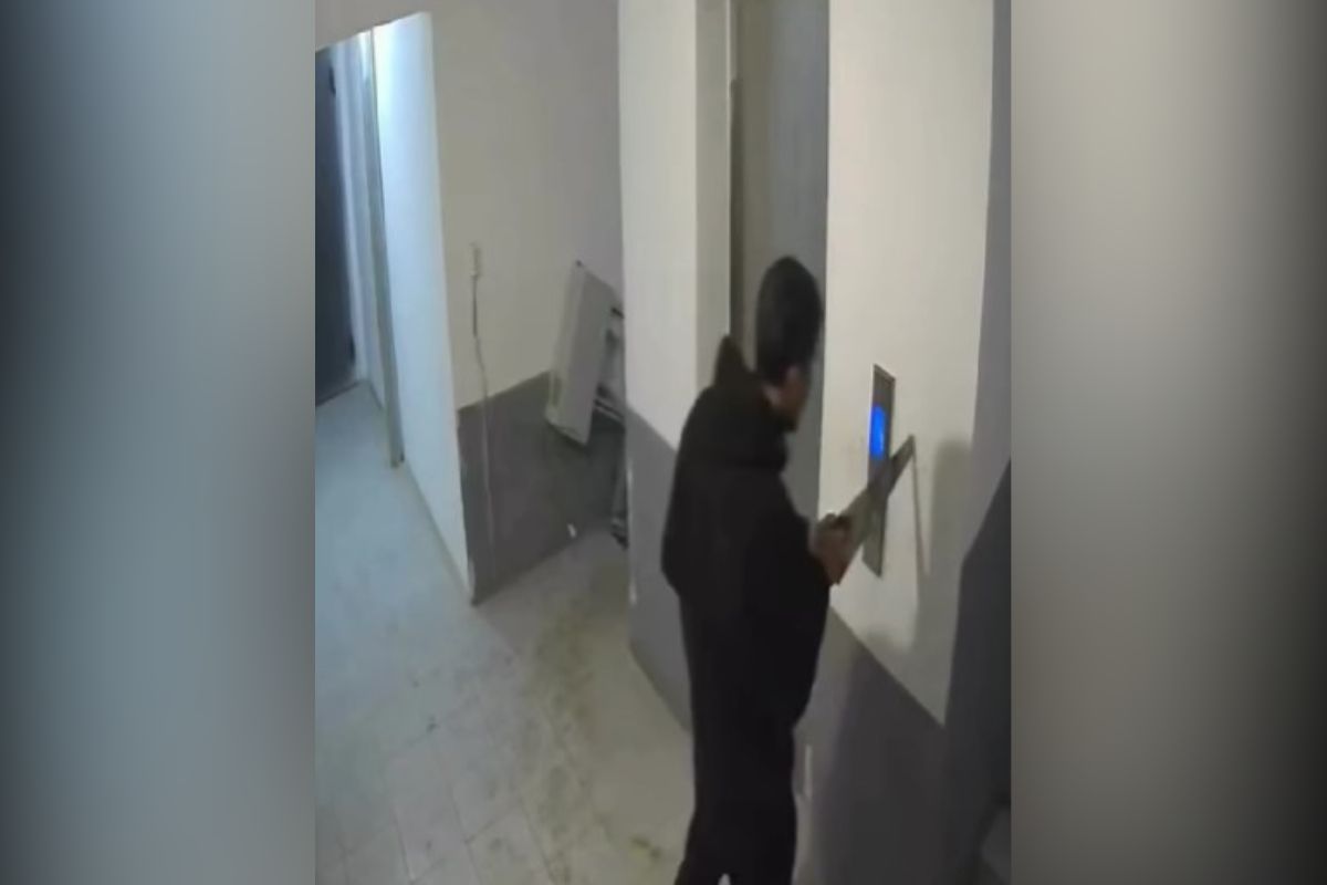 скриншот видео