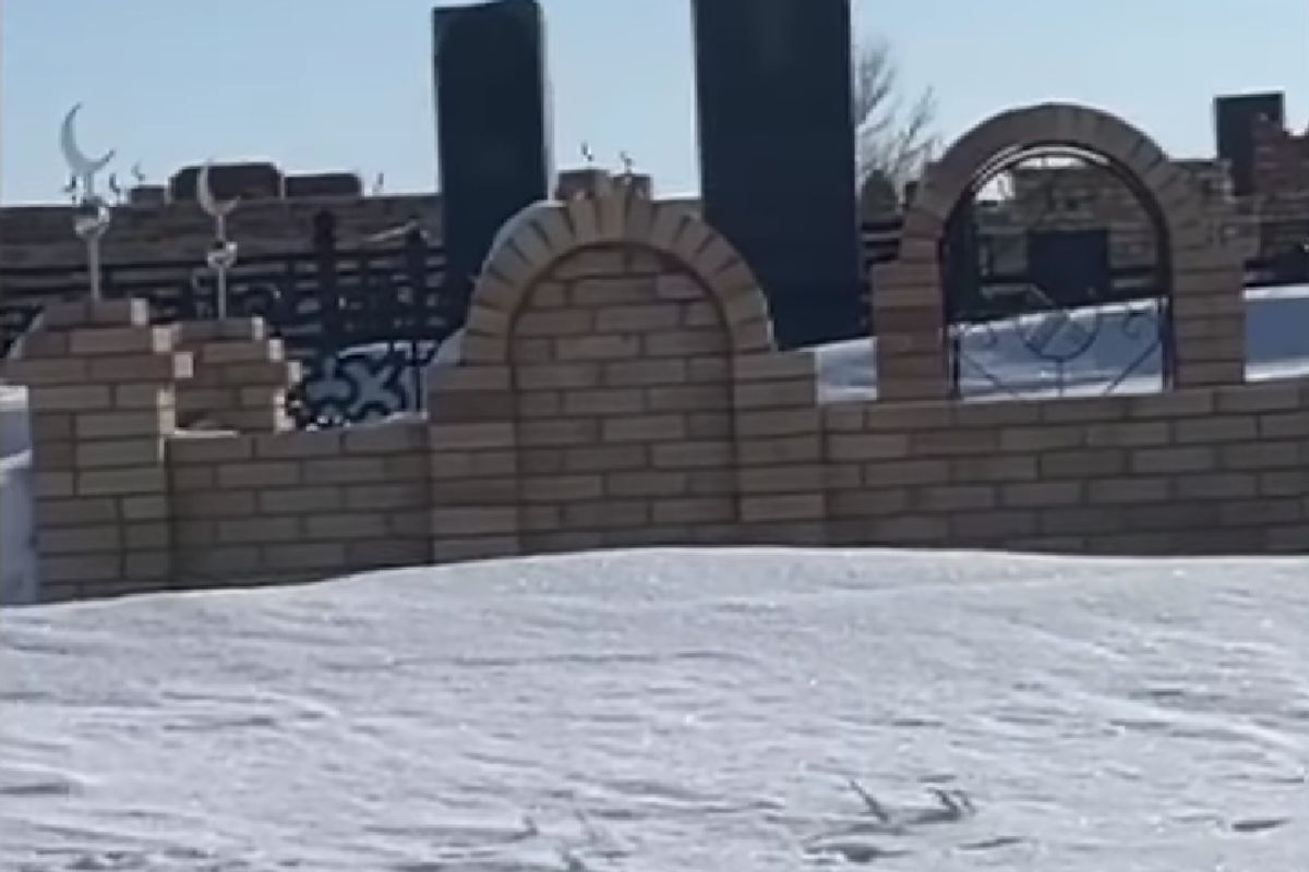 скриншот видео