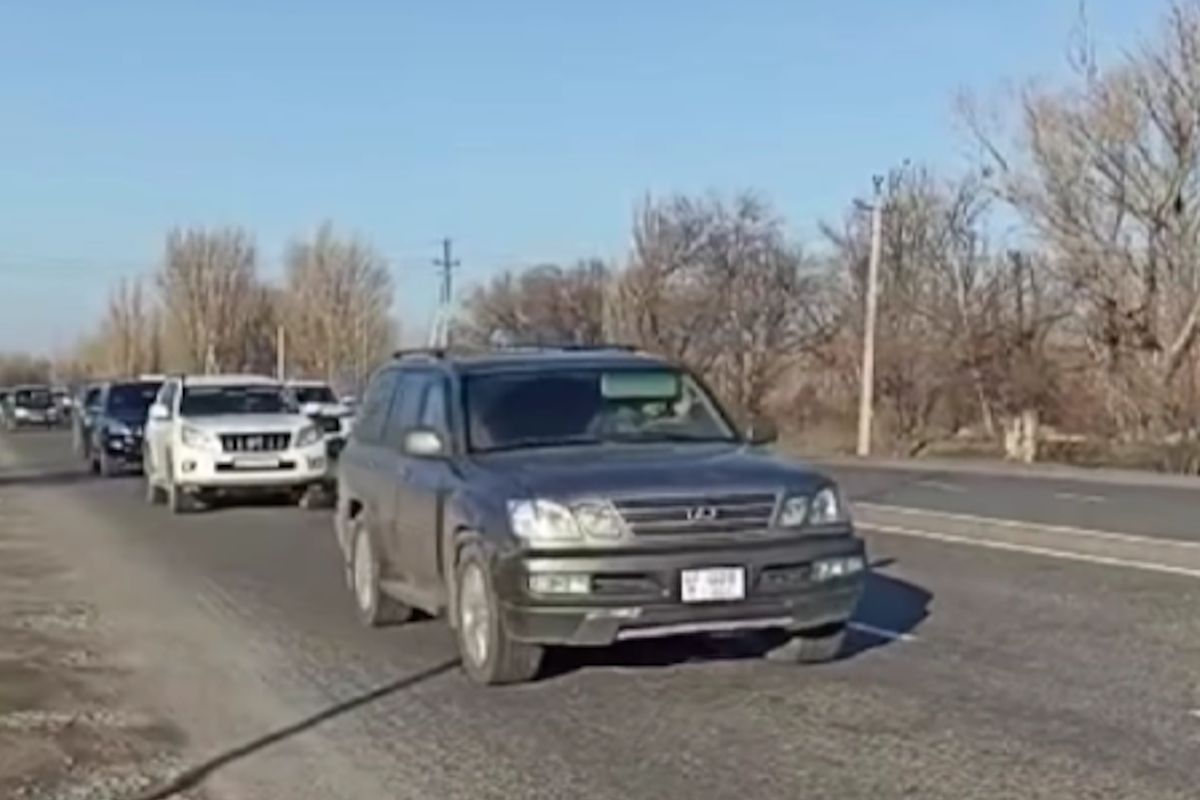 скриншот видео