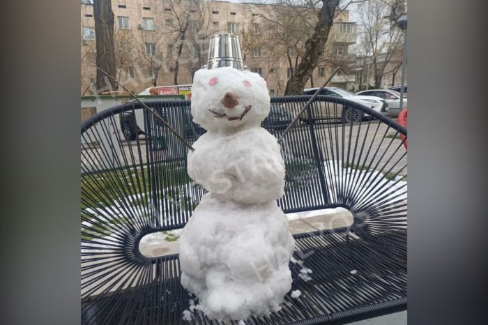 В Шымкенте неизвестные похитили снеговика