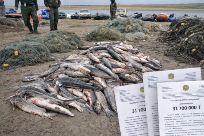 Кого ловить нельзя: сколько придется заплатить за редких рыб и животных