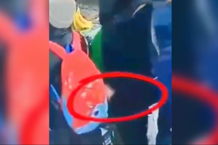 Карманные кражи: полиция показала популярные уловки воров