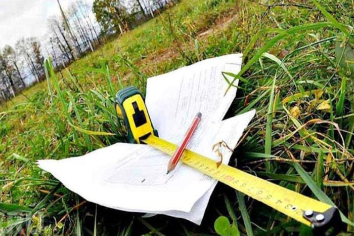 Борьба за гектары: как в Атырауской области возвращают сельхозземли