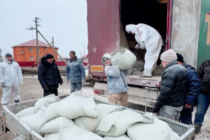 В Исатайский район привезли 77 тонн пшеничного корма