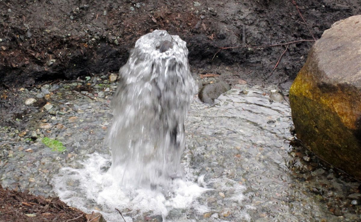 иллюстративное фото, Canva