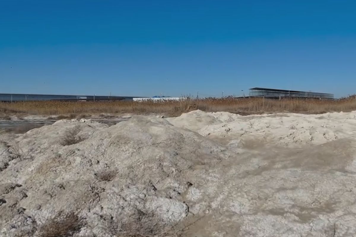 скриншот видео