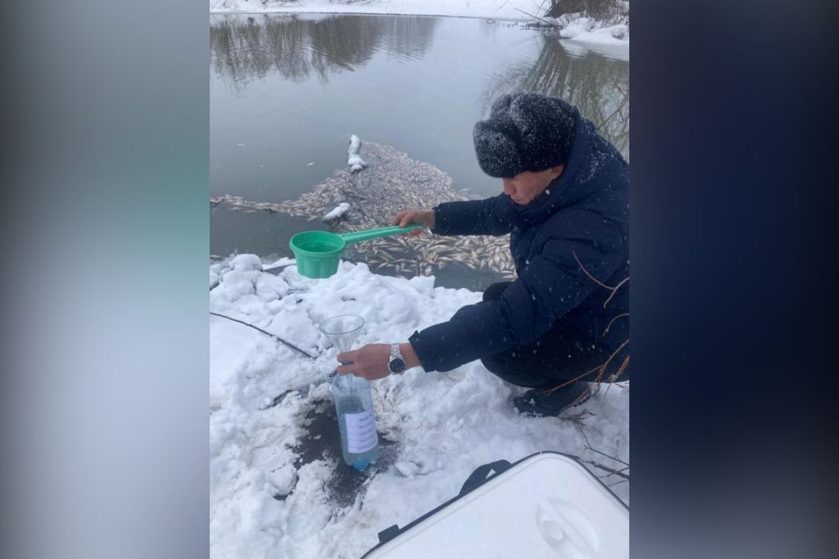 фото комитета экологического регулирования и контроля Министерства экологии и природных ресурсов Республики Казахстан фото комитета экологического регулирования и контроля Министерства экологии и природных ресурсов Республики Казахстан