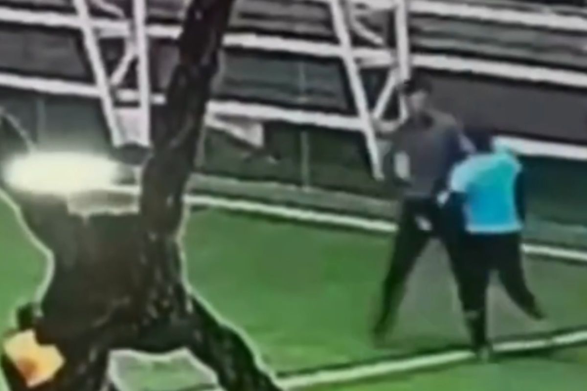 скриншот видео скриншот видео