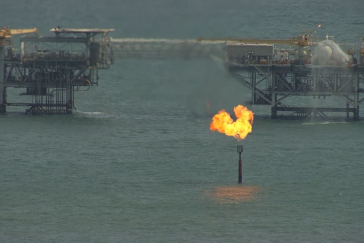 Фото из архива глобального движения Save the Caspian Sea Фото из архива глобального движения Save the Caspian Sea