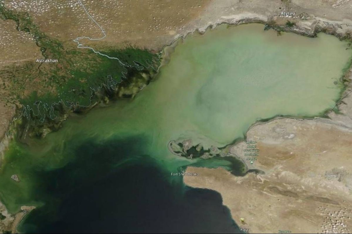 Космический снимок северной части Каспийского моря, 12 июля 2023 г. (Снимок проекта «NASA») // Фото: kazhydromet.kz