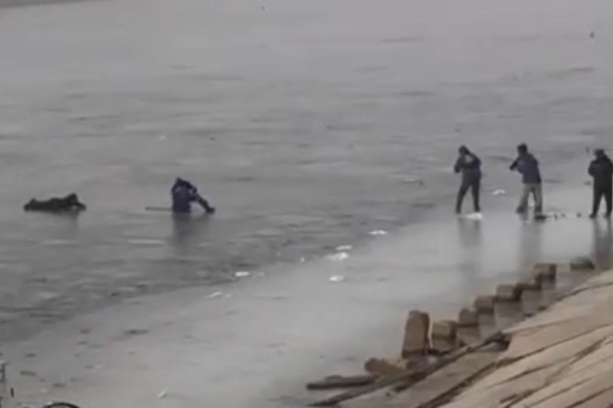 стоп-кадр с видео