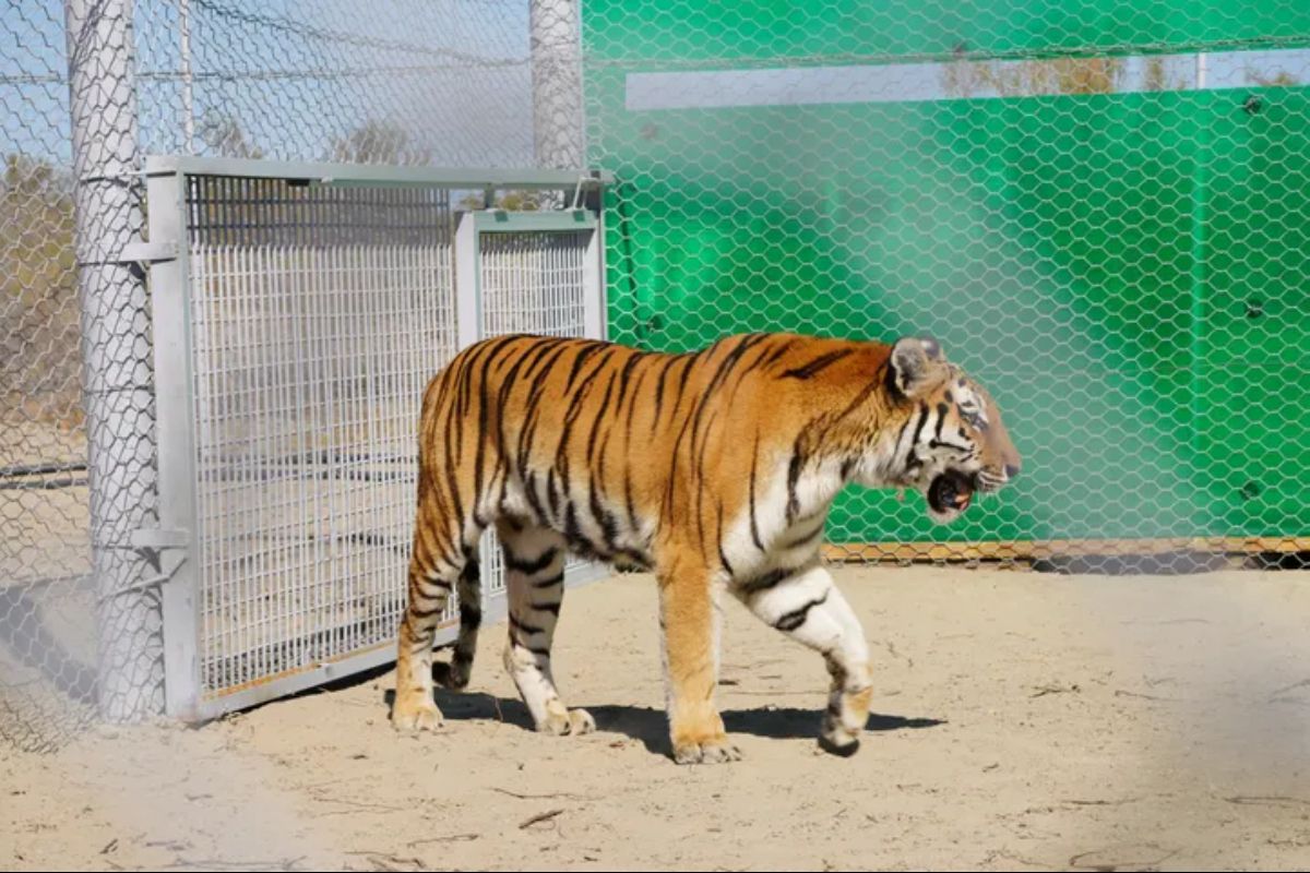 фото: WWF Центральная Азия