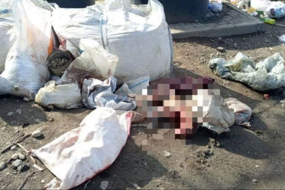 фото: Zakonanimal.kz