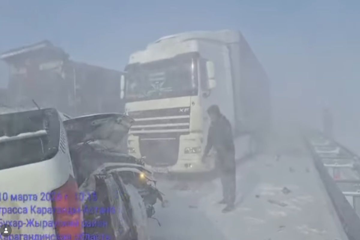 скриншот видео