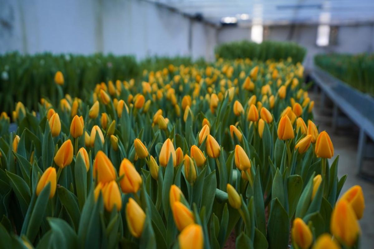 иллюстративное фото/gov.kz