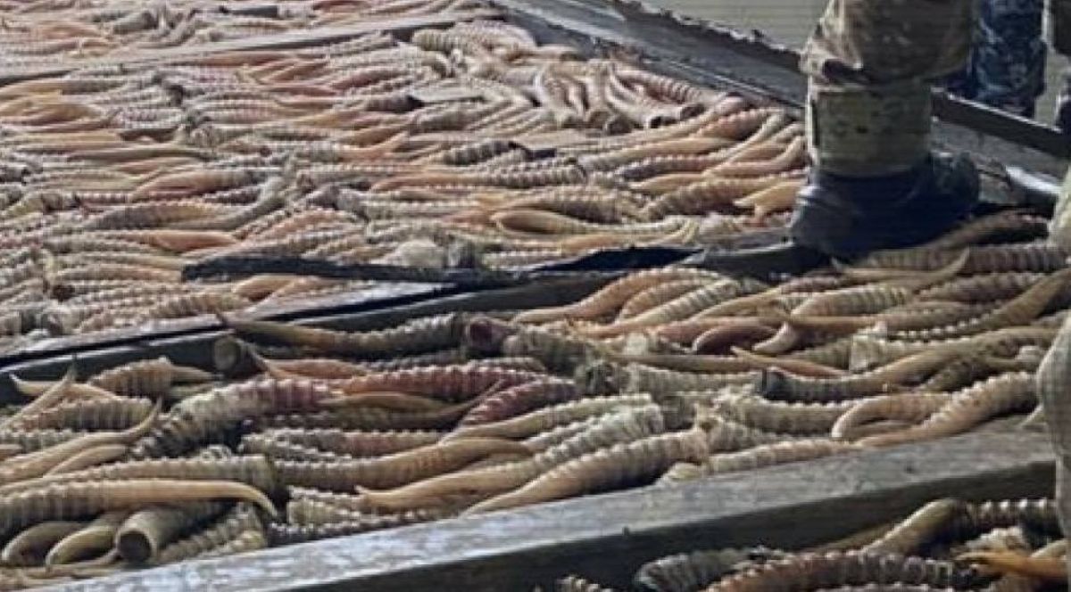 иллюстративное фото/polisia.kz