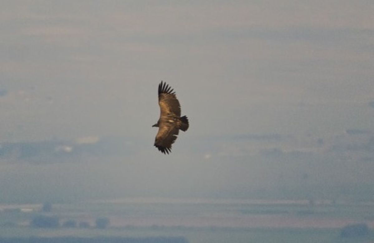 иллюстративное фото