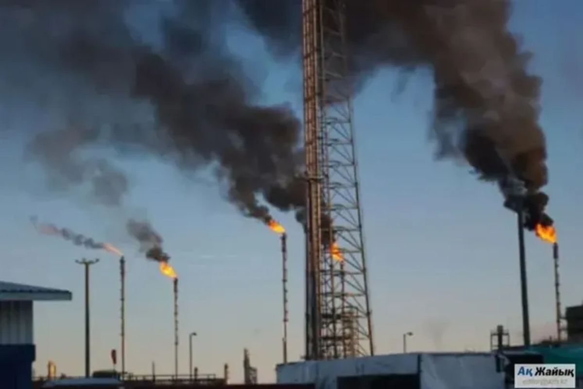 иллюстративное фото