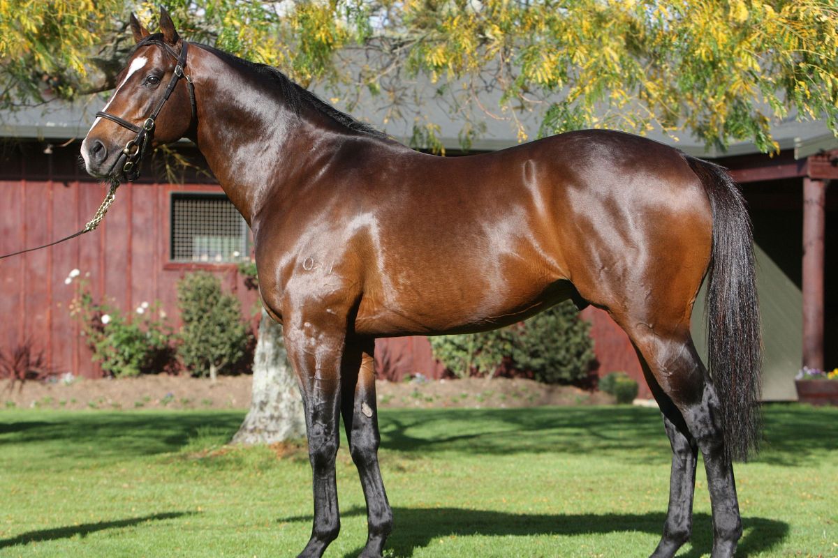 иллюстративное фото