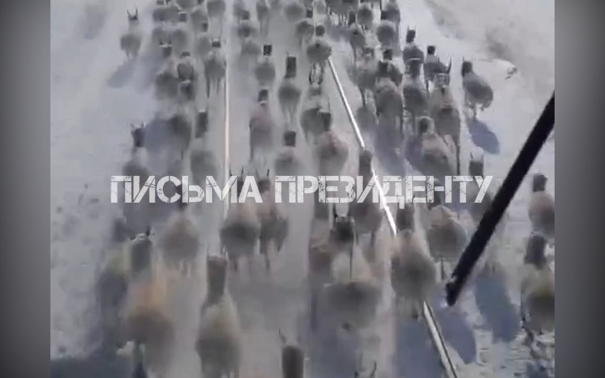 стоп-кадр видео