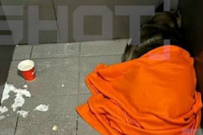 Air Astana 20 лет использует самолёты Airbus