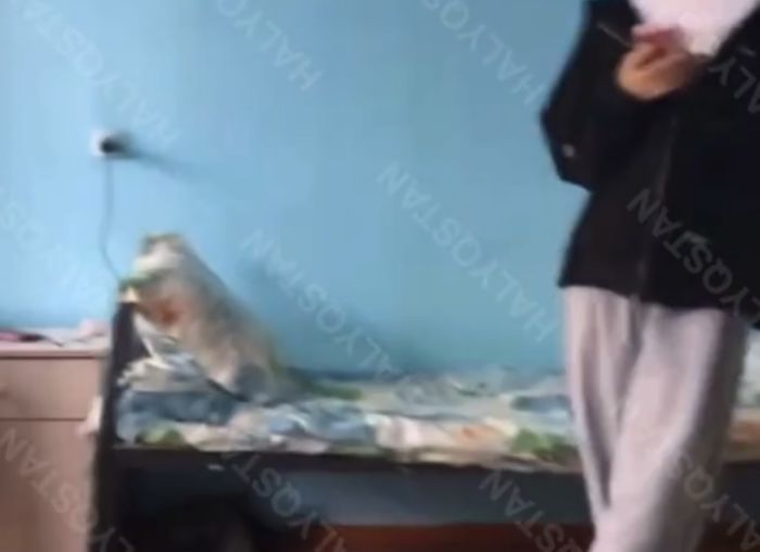 Конфликт в общежитии колледжа Туркестана: девушки отказались убирать за парнями