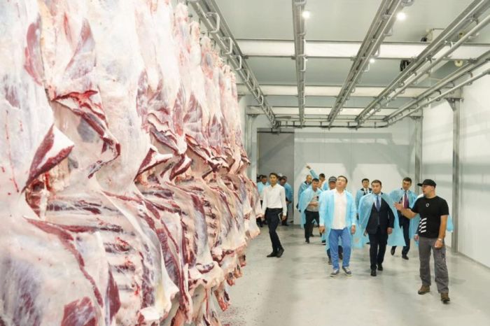 Мясо дешевле, чем заявляют в соцсетях — Минсельхоз озвучил реальные цены